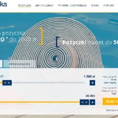alegotowka.pl opinie